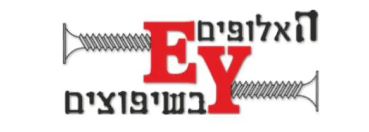 האלופים בשיפוצים