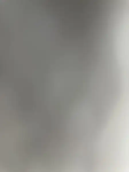 דניאל מור הגנן