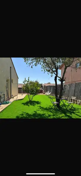 גינון מוריאל