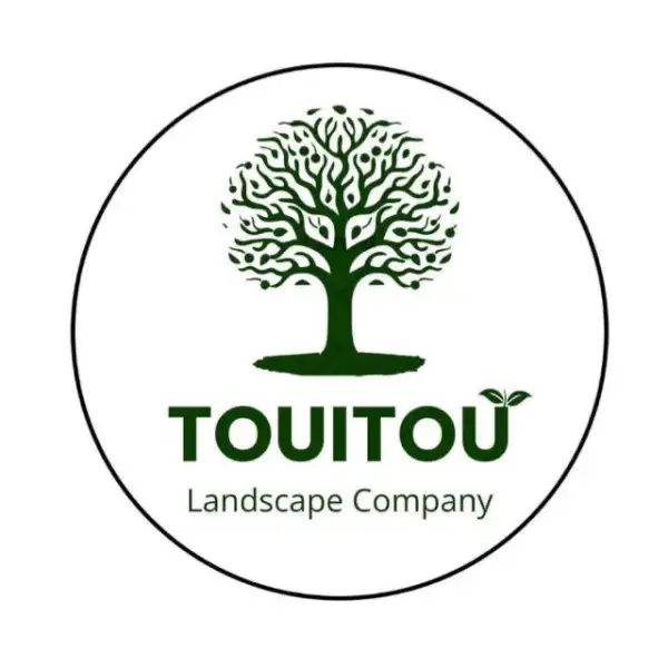 Touitotu