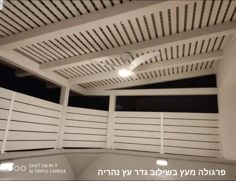 גגות שי