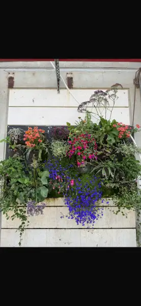 יואב הגנן