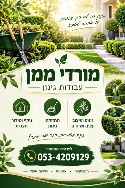 מורדי ממן