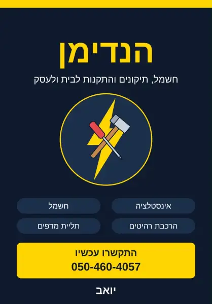 הנדימן מקצועי