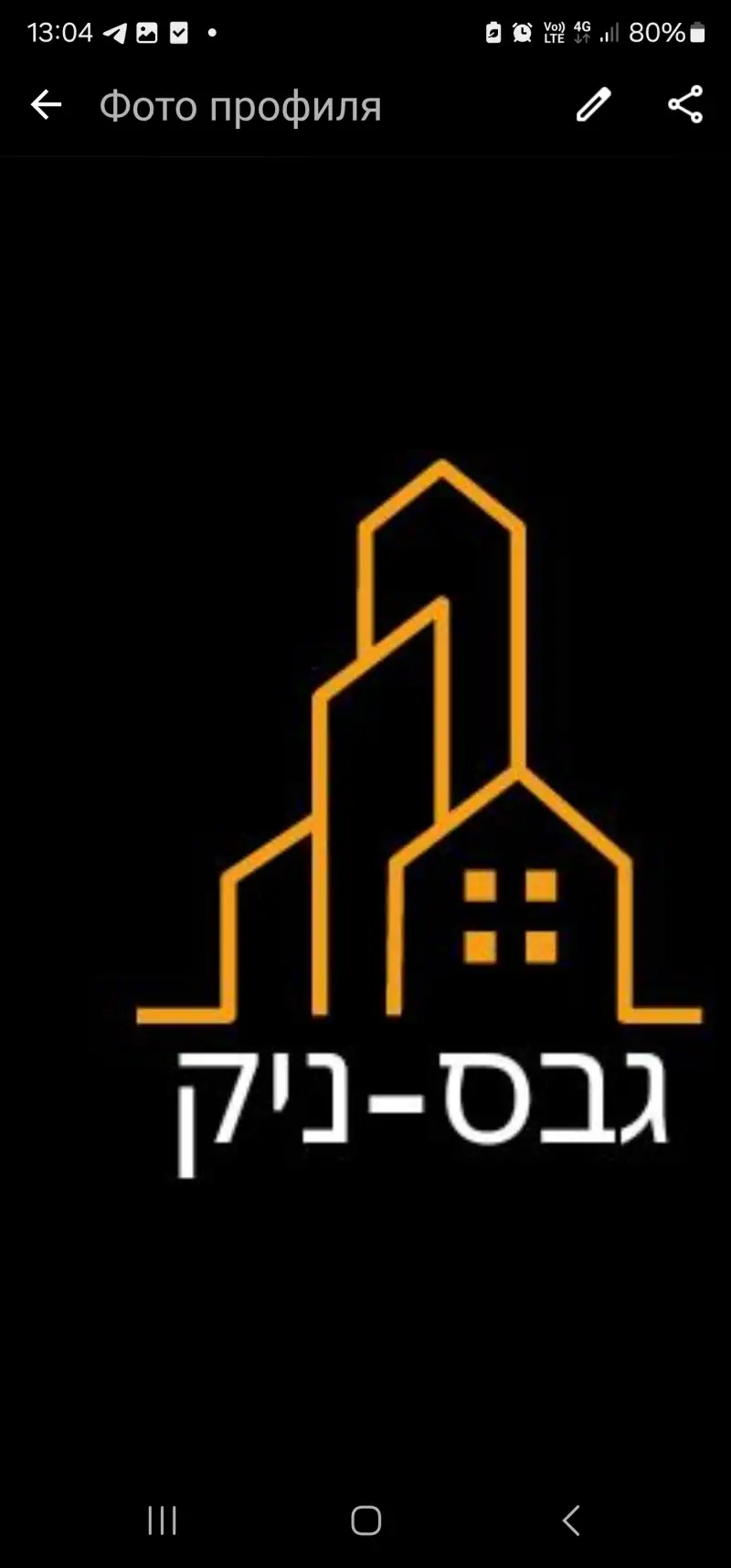 גבס-ניק
