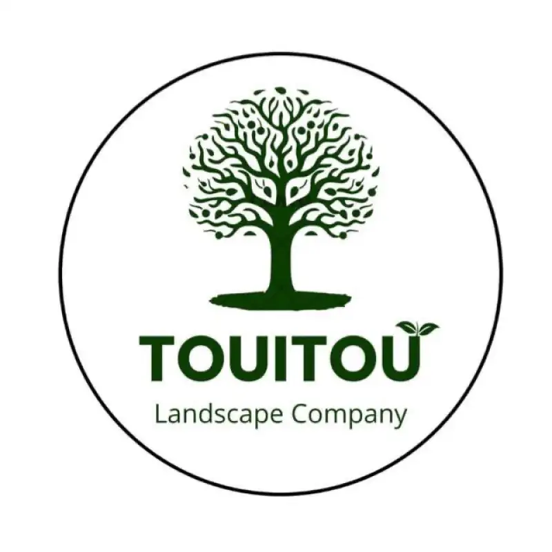 Touitotu